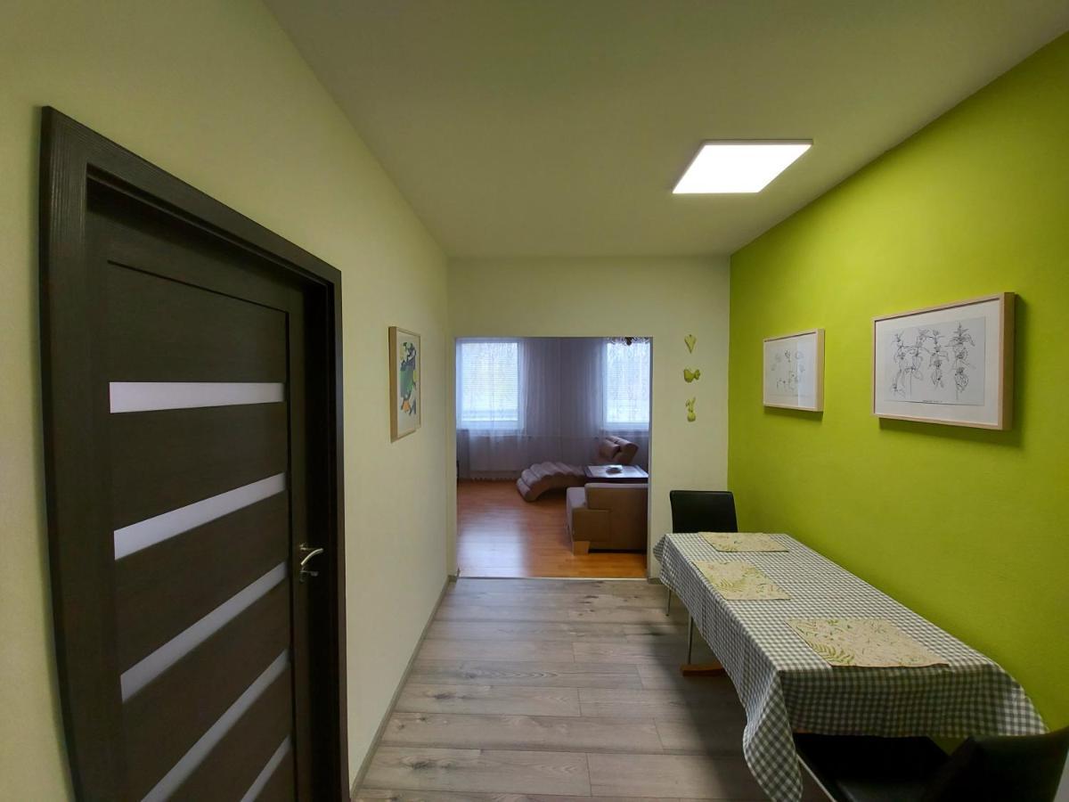 Apartman Eva - Plne Vybaveny Byt - Týn nad Vltavou Exterior foto